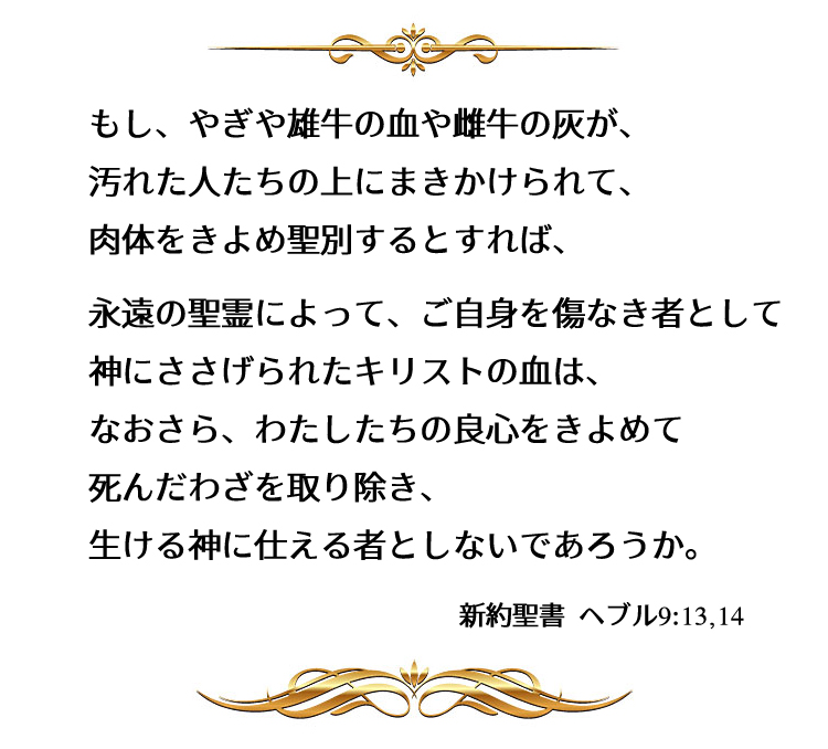 エリザベスキンデルマン 大嵐 王国へのカウントダウン